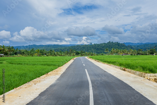 Wide angle view of a paved asphalt road stretching through lush green paddy fields under cloudy sky