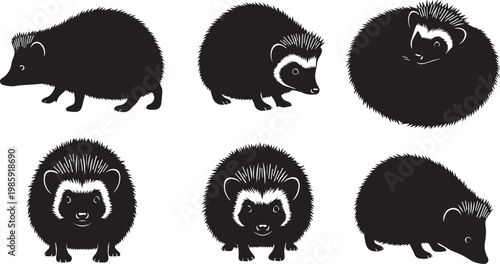 A set of black and white illustrations of badgers in different poses and expressions