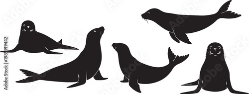 A group of black seal silhouettes against a white background