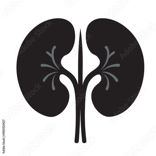 Black icon of human kidneys with human organ internal organs black and white