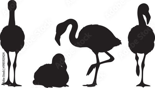A group of flamingo silhouettes standing and sitting on a white background