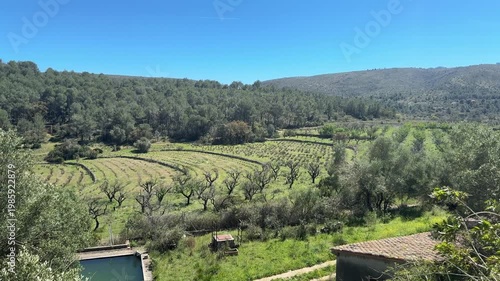 This shows views of green fields and trees in a rural area. The sun shines down on the landscape, highlighting the natural beauty of the land and nature.