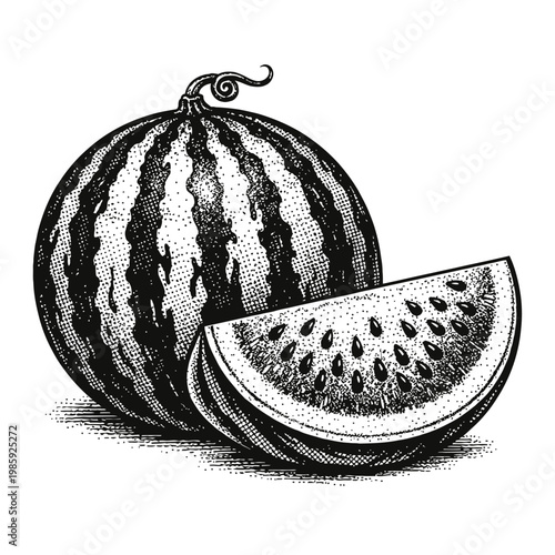 A black and white illustration of a whole watermelon and a slice of watermelon with seeds on a plain background.