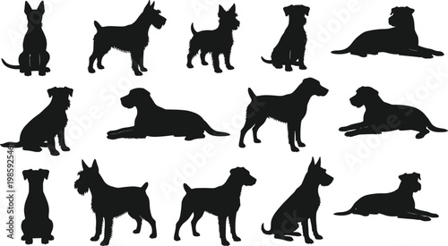 Dog silhouettes, pet icons, canine vector art, sitting standing lying poses, breed outlines, animal shapes, black illustration, graphic design, decor