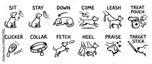 Set of hand-drawn dog training icons showing commands like sit, stay, down, and fetch, along with equipment such as a clicker, collar, and leash in a simple sketch style