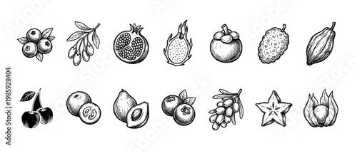 Hand-drawn exotic fruits and berries collection in a vintage sketch style, featuring superfoods like pomegranate, dragon fruit, goji, acai, mangosteen, and carambola