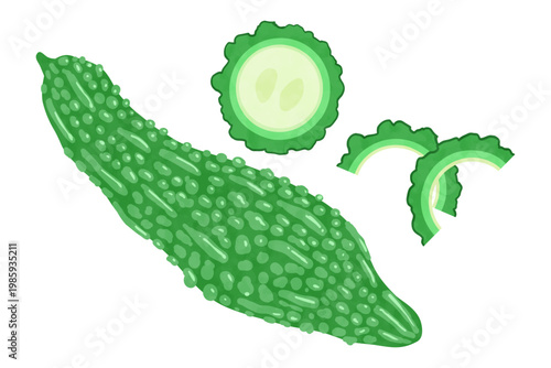 手描き風ゴーヤのベクターイラスト