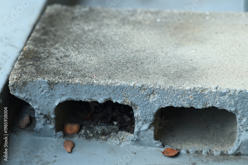 古いブロックが枯れ葉にまみれて忘れられている