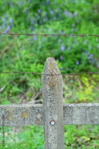古いコンクリートの塀と有刺鉄線