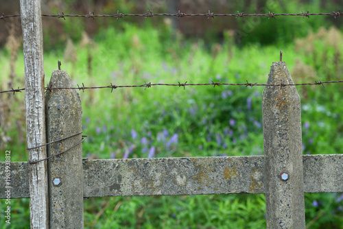 古いコンクリートの塀と有刺鉄線