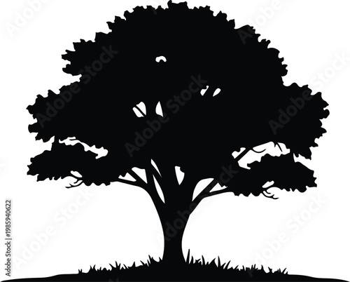 Silhouette of a large leafy oak tree in nature vector design
