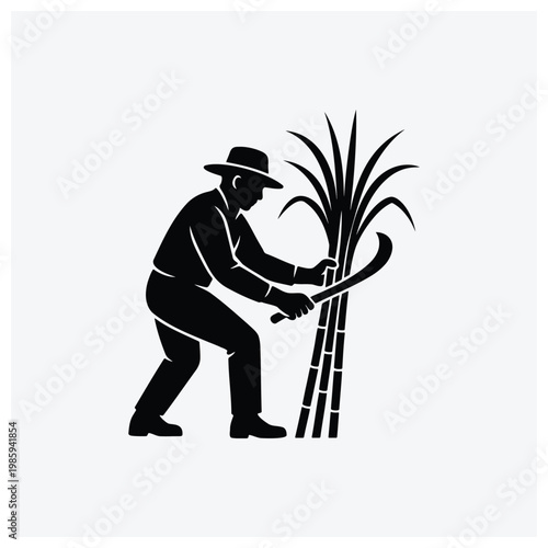 A farmer or picker harvesting bananas with a tool