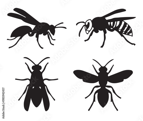 Black and white vector silhouette set of wasp