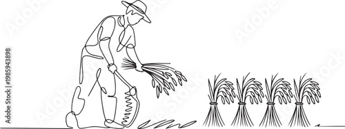 Single one line drawing of young male farmer was harvesting rice and there was also rice that had been tied up. one line Icon drawing