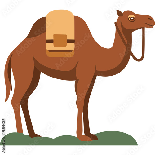Brown camel standing on green grass with saddle on back outside