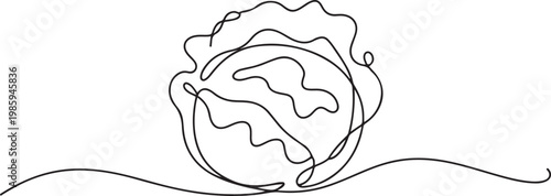 cabbage continuous one line drawing, Hand-drawn cabbage continuous outline vector. Cabbage one line art drawing. one line Icon drawing