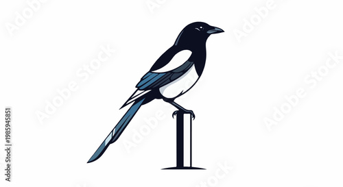 Black and white bird perched on a post