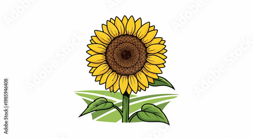 Bright yellow sunflower with green leaves and stem on a white background