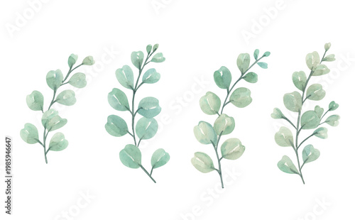 Watercolor painting of green leaves on a white background