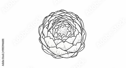 Black and white illustration of an artichoke from a top-down perspective