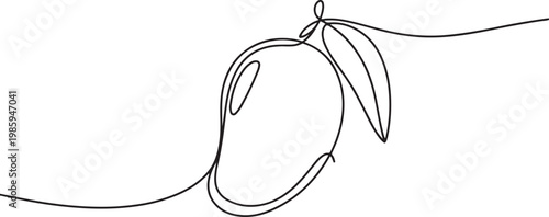 Continuous one single minimal line drawing mango, Continuous one line drawing of mango fruit with leaf. Mango fruit hand drawn single line art vector illustration. one line Icon drawing