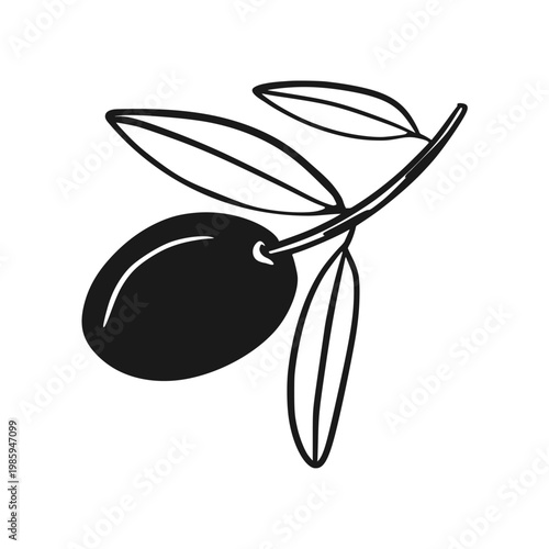 Simple line art drawing in sketch style of a single olive on a branch with leaves. Botanical element, elegant vector drawing