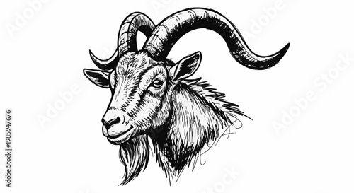 Black and white sketch of a goat's head with large, curved horns