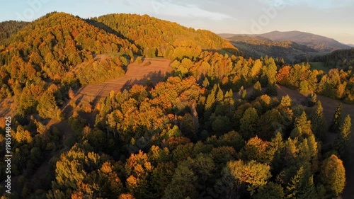 Aerial side orbit of autumn mountain forest during golden sunset