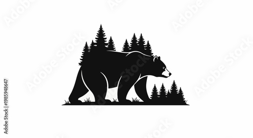 Black bear walking through a forest of pine trees