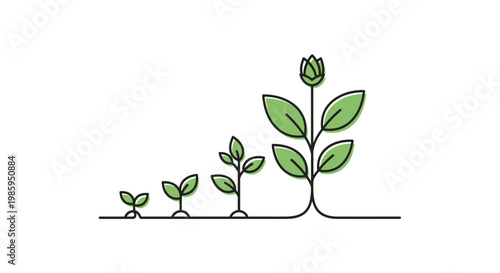 Plant growth stages illustration progression development and evolution