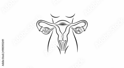 Artistic depiction of the female reproductive system, showing ovaries and uterus