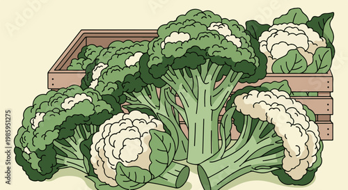 Artistic depiction of fresh broccoli and cauliflower spilling from a wooden crate