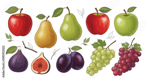A vibrant flat lay illustration features a colorful assortment of fresh fruits like apples, pears, plums, figs, and grapes arranged against a white background, showcasing a healthy