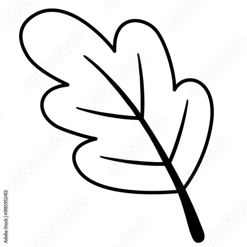 vector illustration of a leaf