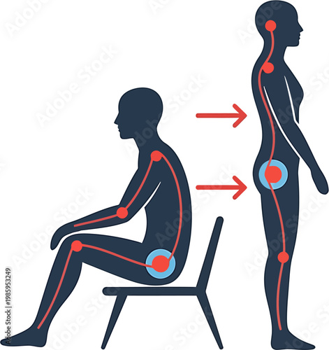 Correct posture visualization showing comparison between sitting and standing alignment with spinal and pelvic highlights