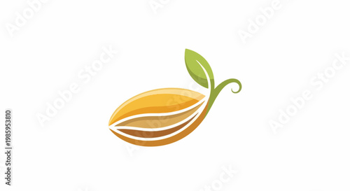 Abstract golden seed with green sprout and leaf, white background