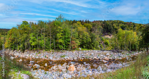 Wallpaper Mural beautiful forest with creekt in the green mountains near Sunderland Torontodigital.ca