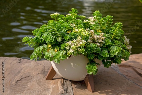 Flower arrangement in a landscape park. Landscape design.