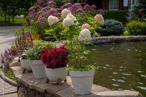 Flower arrangement in a landscape park. Landscape design.