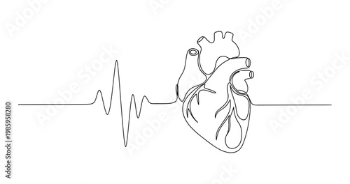 Continuous line drawing of human heart with heartbeat waveform. No editable stroke