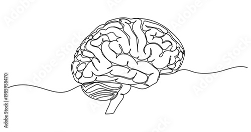Continuous line art drawing of human brain in profile view. no editable stroke