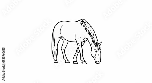 Simple line drawing of a horse grazing on a white background