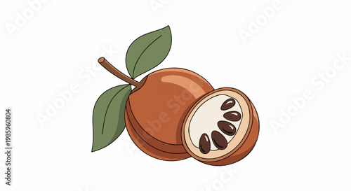 A brown fruit sliced open revealing white pulp and dark seeds