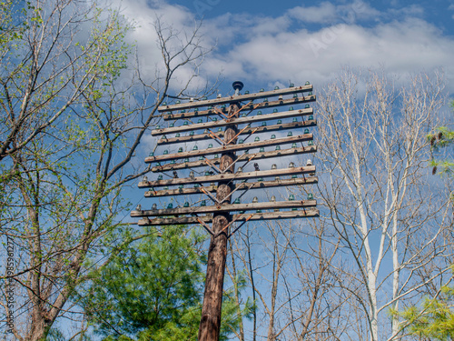 railroad signal lights