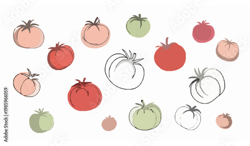 Abstract tomato line art vector with soft pastel colors in dynamic modern food illustration style