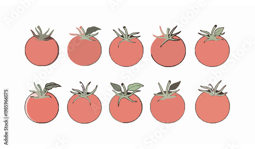 Tomato line art vector with soft pastel whole vegetables in clean minimal food illustration style