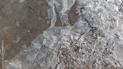 Ice fragments floating on water surface, revealing underlying vegetation and rocks, showcasing the transition from winter to spring in a natural outdoor setting
