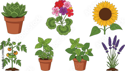 Garden Plants and Flowers Icon Set with Succulent, Geranium, Sunflower, Tomato Plant, Basil, and Lavender Elements for Nature, Gardening, and Home Decor Designs