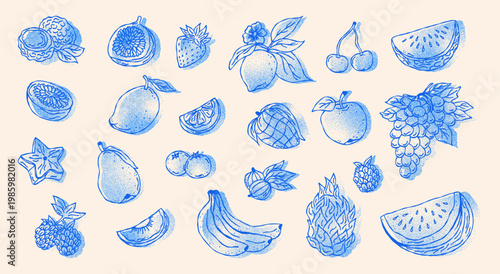Sketch hand drawn fruits vector illustration. Blue cyanotype stipple dot overlay texture with Natural tropical fruits. Dragon fruit, pineapple, citrus, banana, fig, apple, grape, lemon.