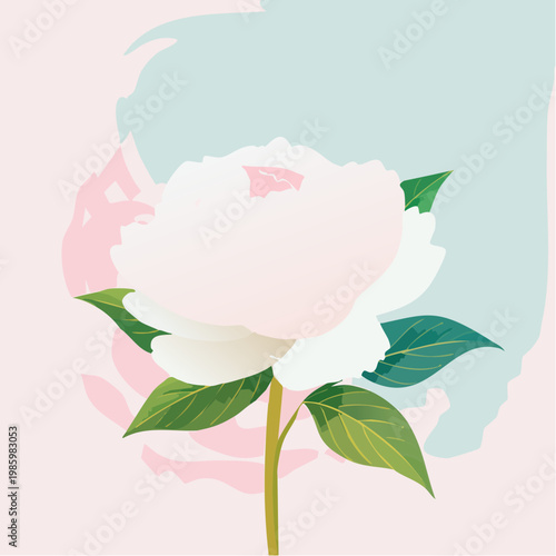 Eine elegante weiße Pfingstrose steht im Mittelpunkt vor einem sanften Pastell-Gradient-Hintergrund